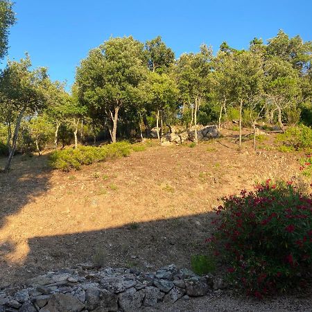 Li Paduleddi Country Guest House Olbia Ngoại thất bức ảnh