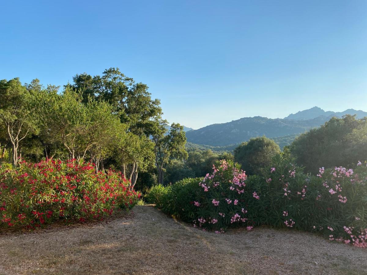 Li Paduleddi Country Guest House Olbia Ngoại thất bức ảnh