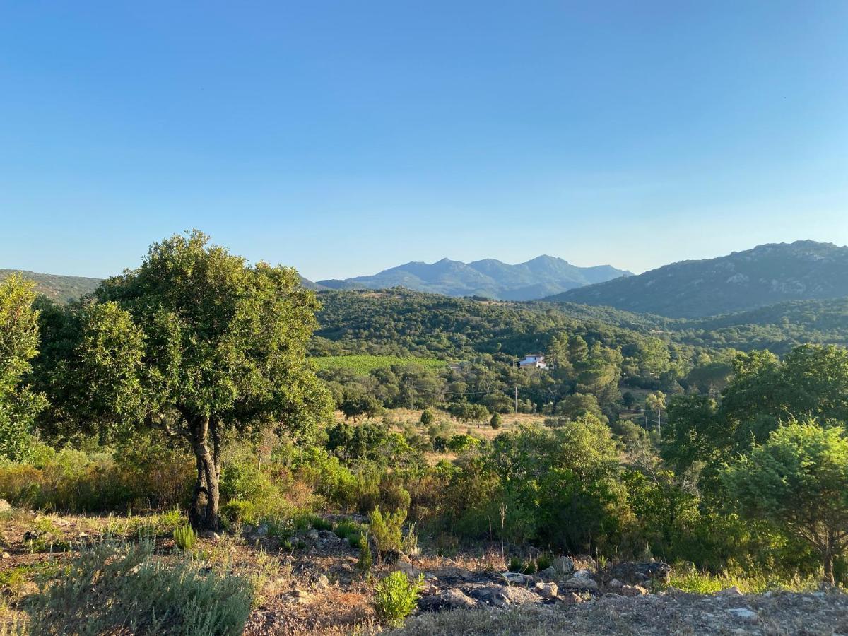 Li Paduleddi Country Guest House Olbia Ngoại thất bức ảnh